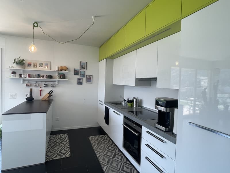 BELL' APPARTAMENTO 3.5 CON GRANDE TERRAZZA E 2 POSTEGGI (6)