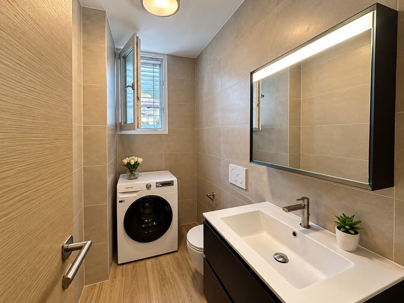 MODERNO E RECENTE 3.5 CON GIARDINO A RIVERA (10)