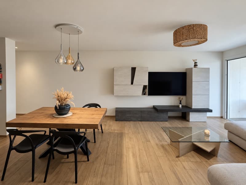 MODERNO E RECENTE 3.5 CON GIARDINO A RIVERA (2)