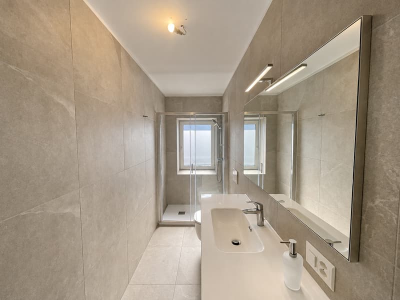 PALAZZINA A REDDITO COMPLETAMENTE RISTRUTTURATA A POLLEGIO (7)