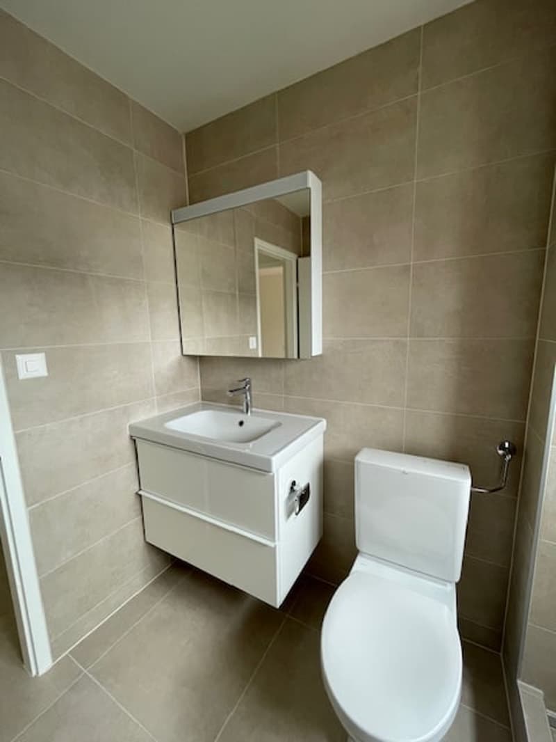 Appartement 2 pièces rénové avec balcon à Cortaillod (5)