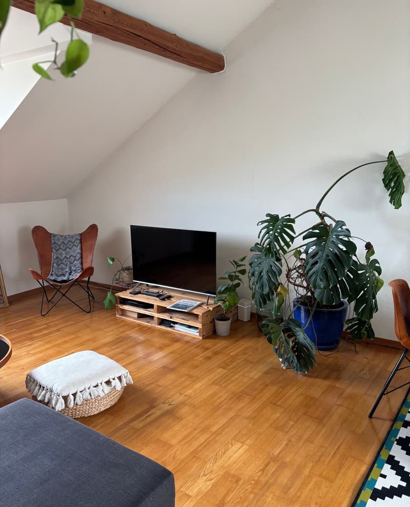 Charmant appartement de 3.5 pièces au coeur de Saint-Blaise (2)