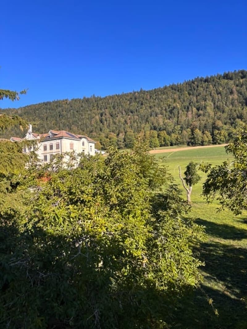 Vue terrasse - 1er étage