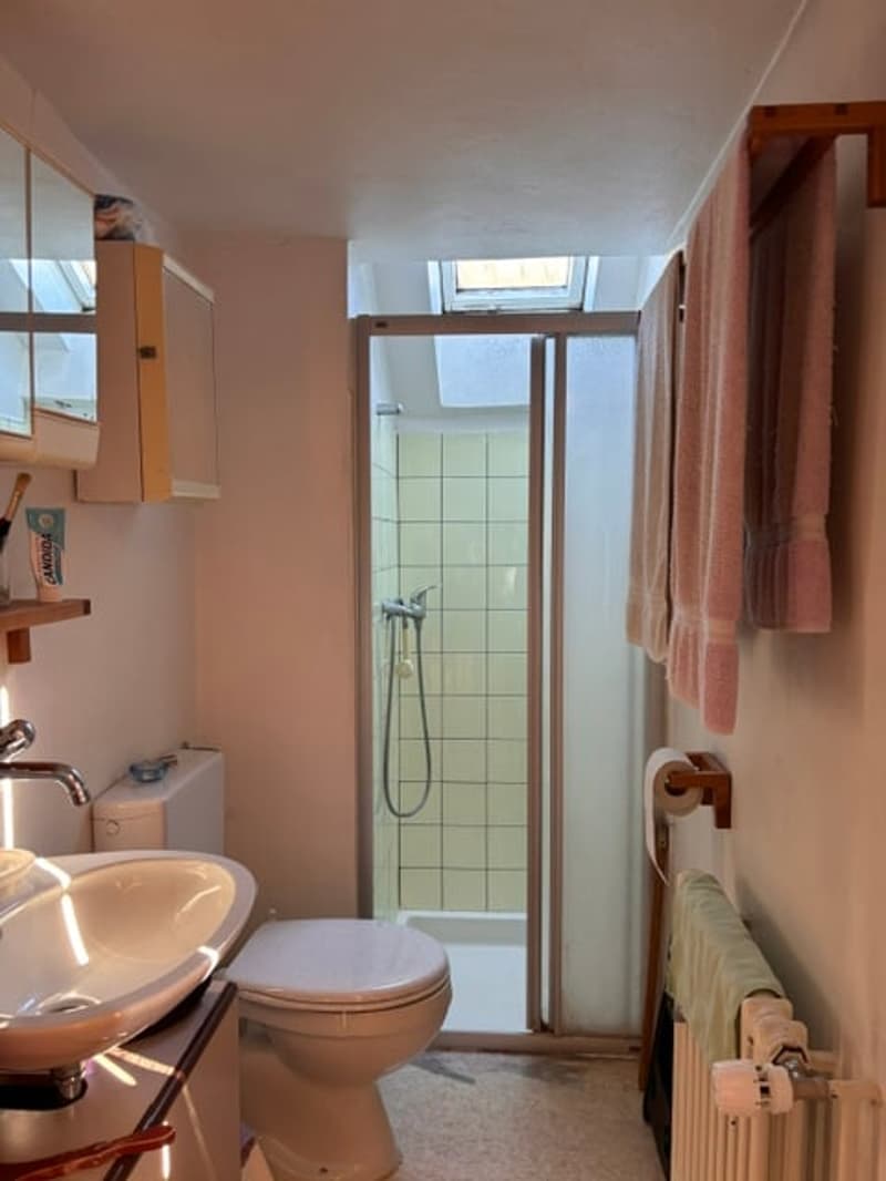 Salle de douche/WC - 2ème étage
