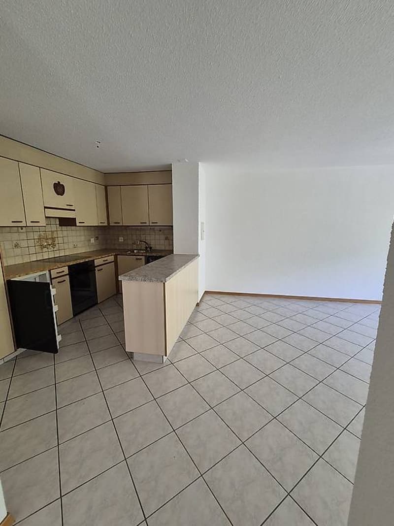 Appartement 4 1/2 en duplex à vendre aux Bains de Saillon (3)