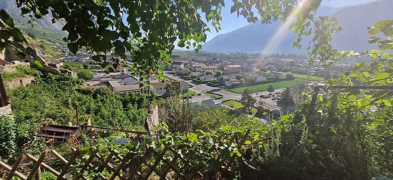 DE L'EXCEPTIONNEL AU COEUR DU BOURG MEDIEVAL DE SAILLON (5)