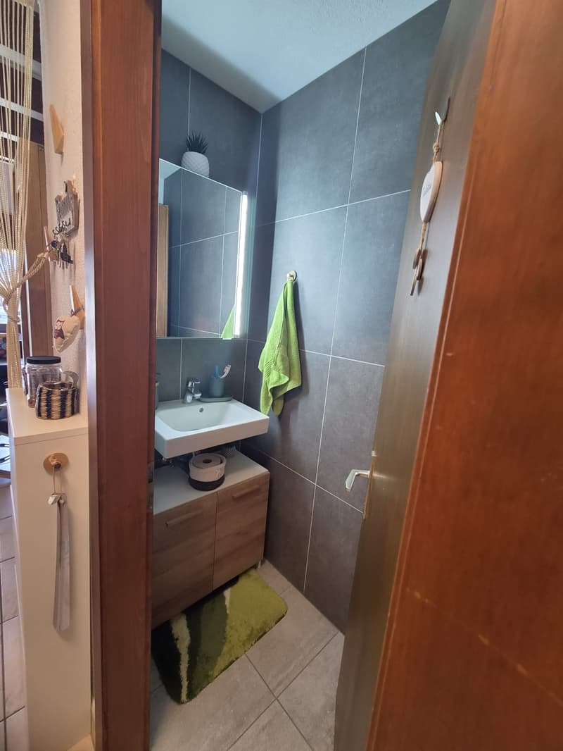 Charmant duplex de 2 pièces avec balcon à Saillon (8)