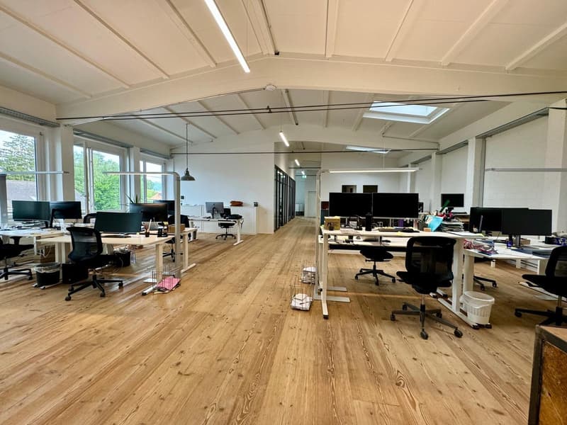 Loft Büroräumlichkeiten möbliert – 370m2 – Steinhausen (ZG) (4)