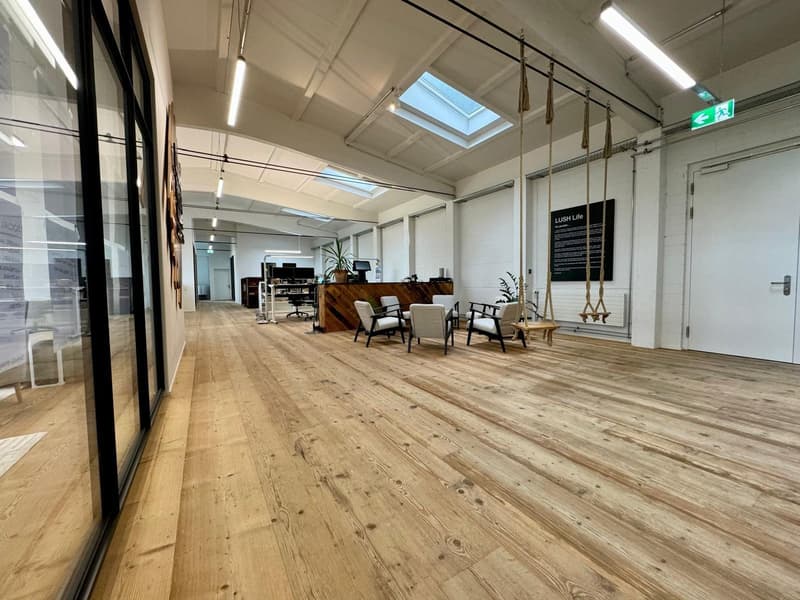 Loft Büroräumlichkeiten möbliert – 370m2 – Steinhausen (ZG) (3)