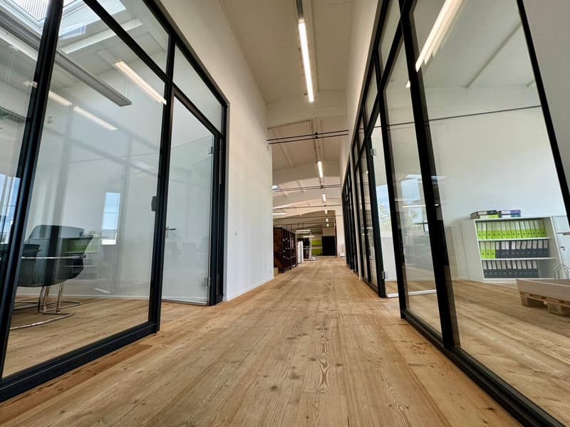 Loft Büroräumlichkeiten möbliert – 370m2 – Steinhausen (ZG) (6)