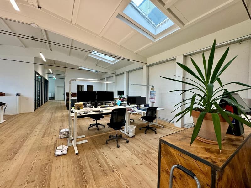 Loft Büroräumlichkeiten möbliert – 370m2 – Steinhausen (ZG) (5)