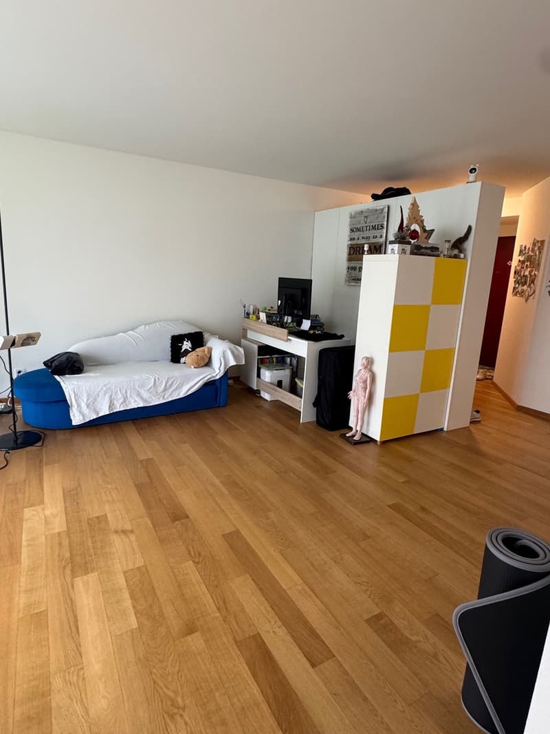 Helle 2.5-Zimmerwohnung mit Gartensitzplatz (2)