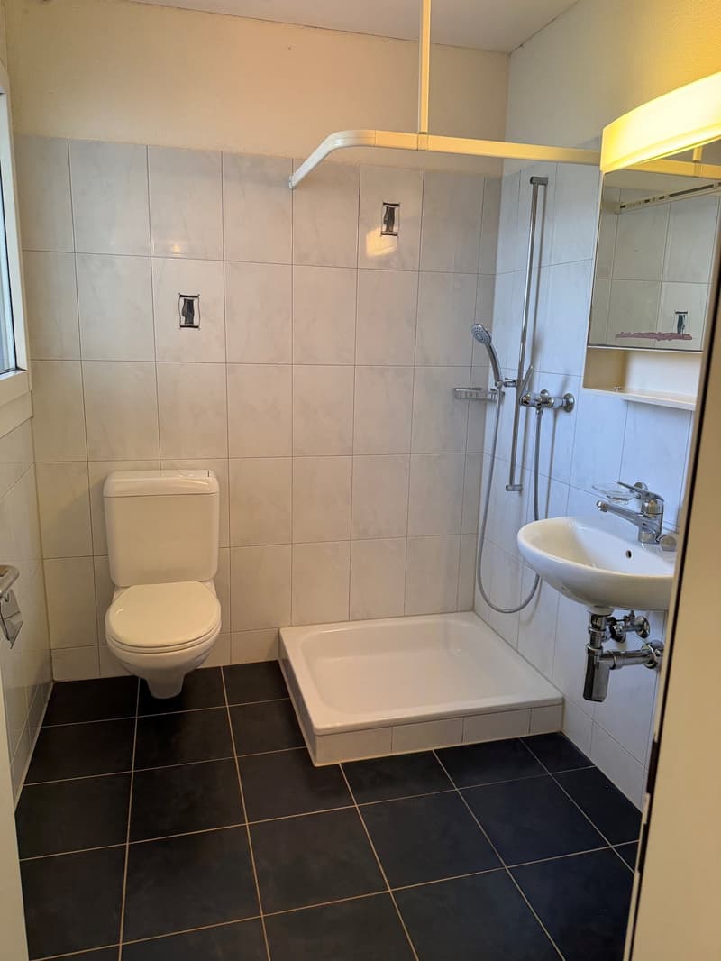 4.5-Zimmer-Gartenwohnung in Baar-Inwil (7)