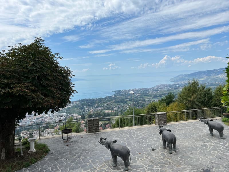 Villa de Maitre with panoramic view in Montreux (2)