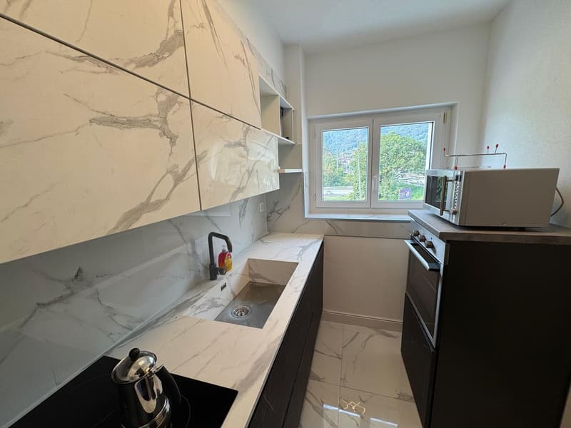 Lamone – Appartamento 2.5 ammobiliato (4)
