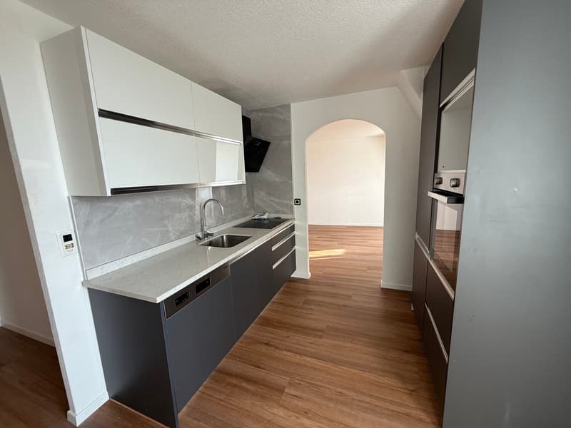 modern design, white cabinets, wooden floor, stainless steel sink, dishwasher, faucet, flat screen TV mounted on wall