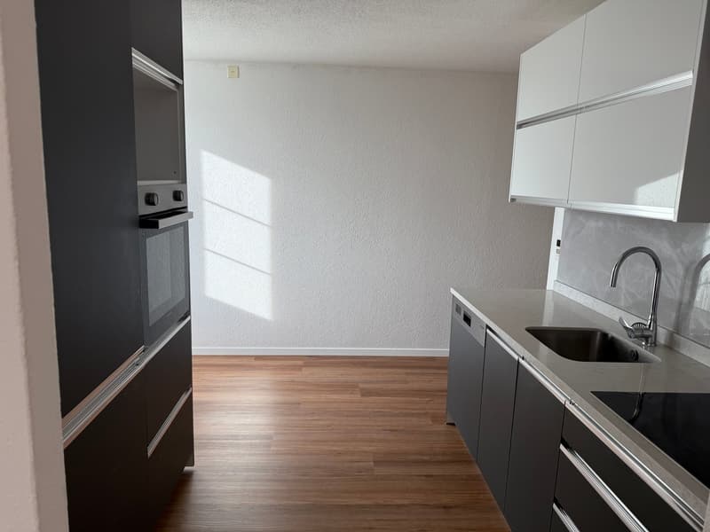 An empty modern kitchen, with appliances including an oven, dishwasher, sink, and stovetop, along with wooden floors and white walls.