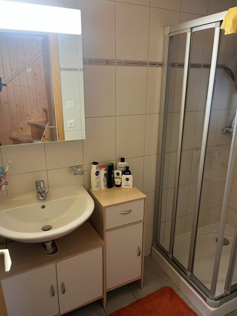 Gemütliches Chalet in Ergisch (12)