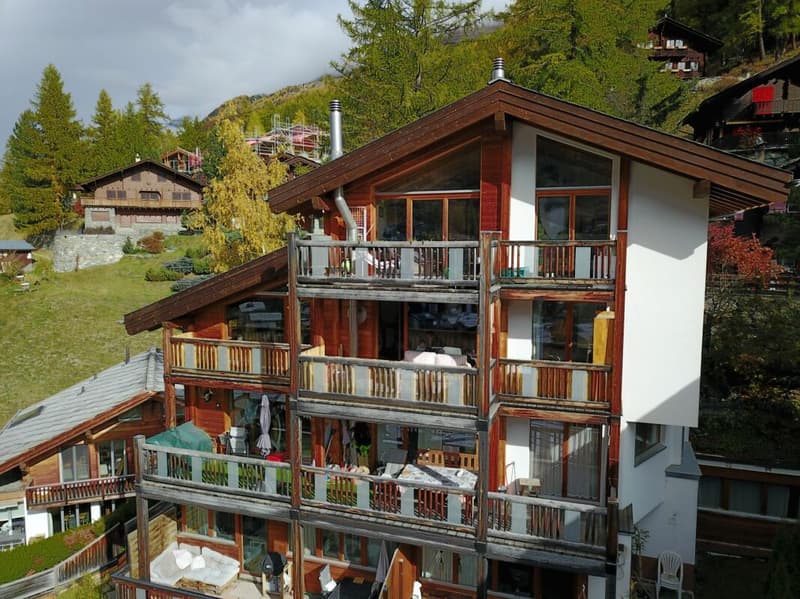 Charmante Wohnung mit schönen Matterhornblick - primary residence (19)