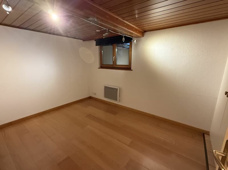 Charmante Wohnung mit schönen Matterhornblick - primary residence (5)