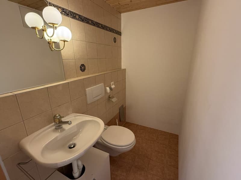 Charmante Wohnung mit schönen Matterhornblick - primary residence (11)