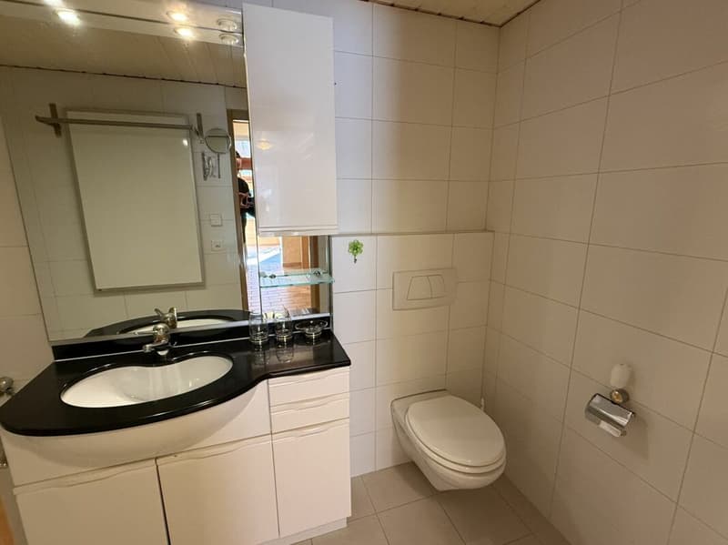 Charmante Wohnung mit schönen Matterhornblick - primary residence (4)