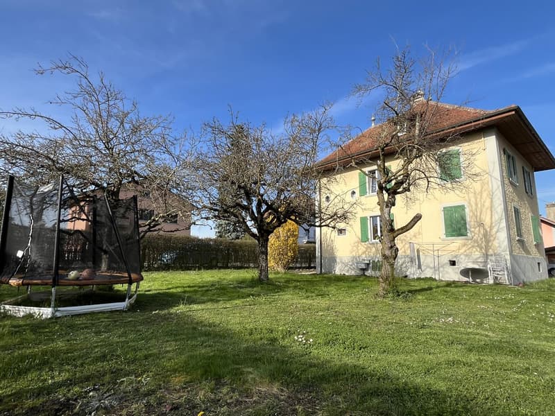 Maison multi-appartements 7.5 pièces à Payerne (2)