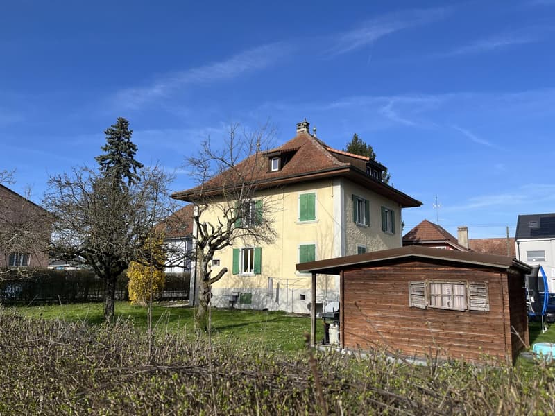 Maison multi-appartements 7.5 pièces à Payerne (5)