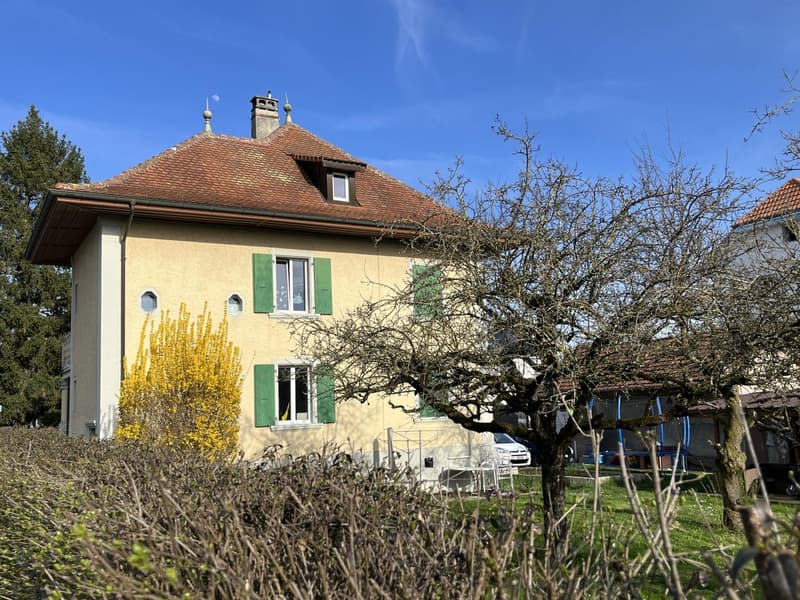Maison multi-appartements 7.5 pièces à Payerne (3)
