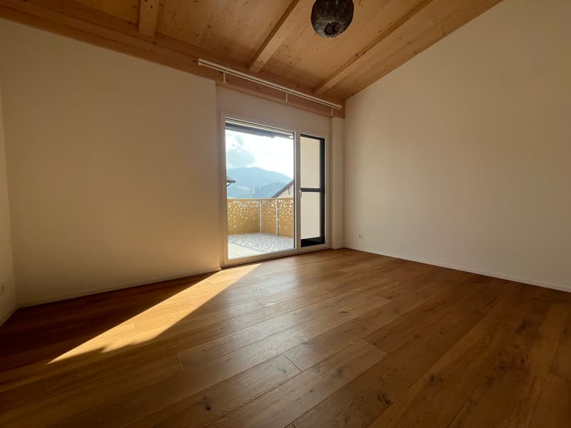 AVEC UNE MAGNIFIQUE VUE DEGAGEE (11)