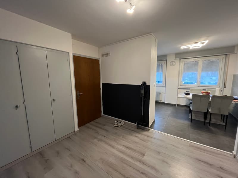 ENTIEREMENT RENOVE, LUMINEUX, BIEN SITUE (5)