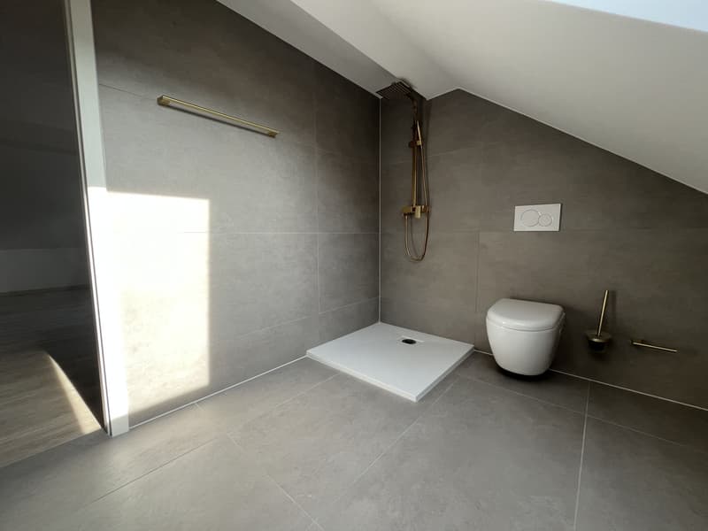 MAGNIFIQUE DUPLEX, AVEC JARDIN PRIVATIF (12)