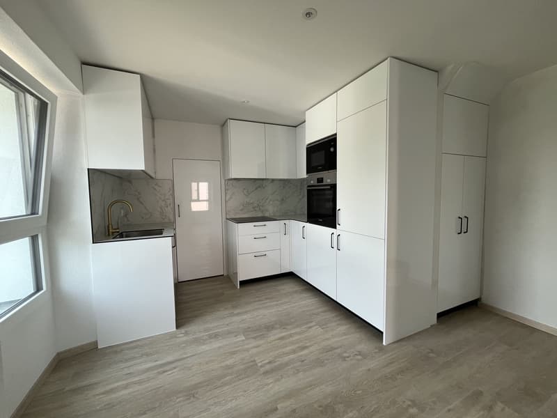 MAGNIFIQUE DUPLEX, AVEC JARDIN PRIVATIF (7)