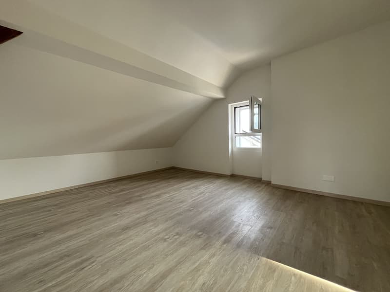 MAGNIFIQUE DUPLEX, AVEC JARDIN PRIVATIF (10)