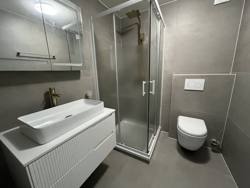 MAGNIFIQUE DUPLEX, AVEC JARDIN PRIVATIF (4)