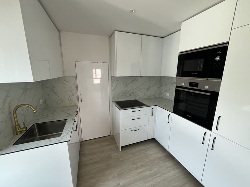 MAGNIFIQUE DUPLEX, AVEC JARDIN PRIVATIF (8)