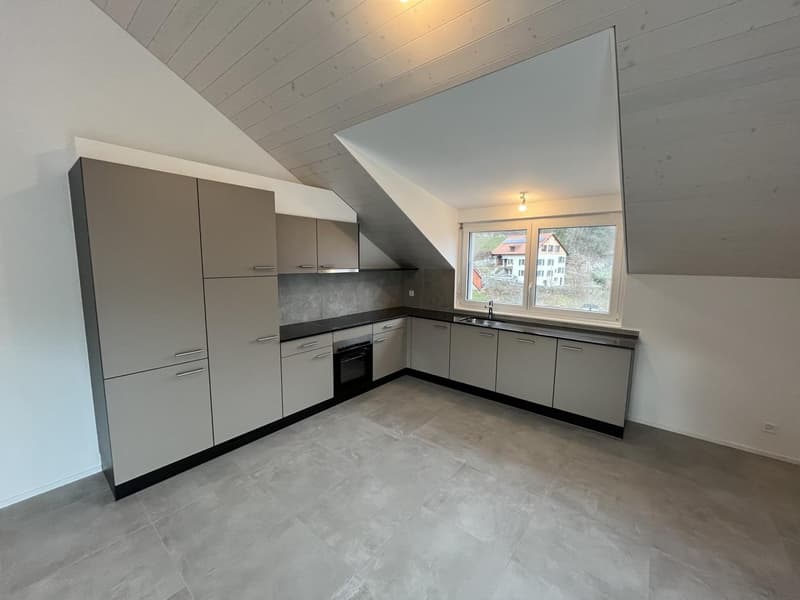 MAGNIFIQUE ATTIQUE, MODERNE ET NEUF (5)