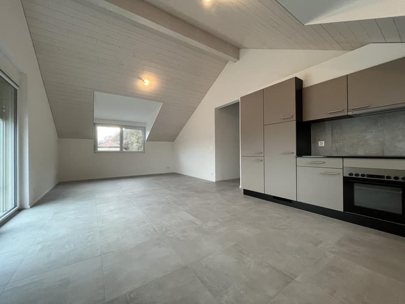 MAGNIFIQUE ATTIQUE, MODERNE ET NEUF (4)