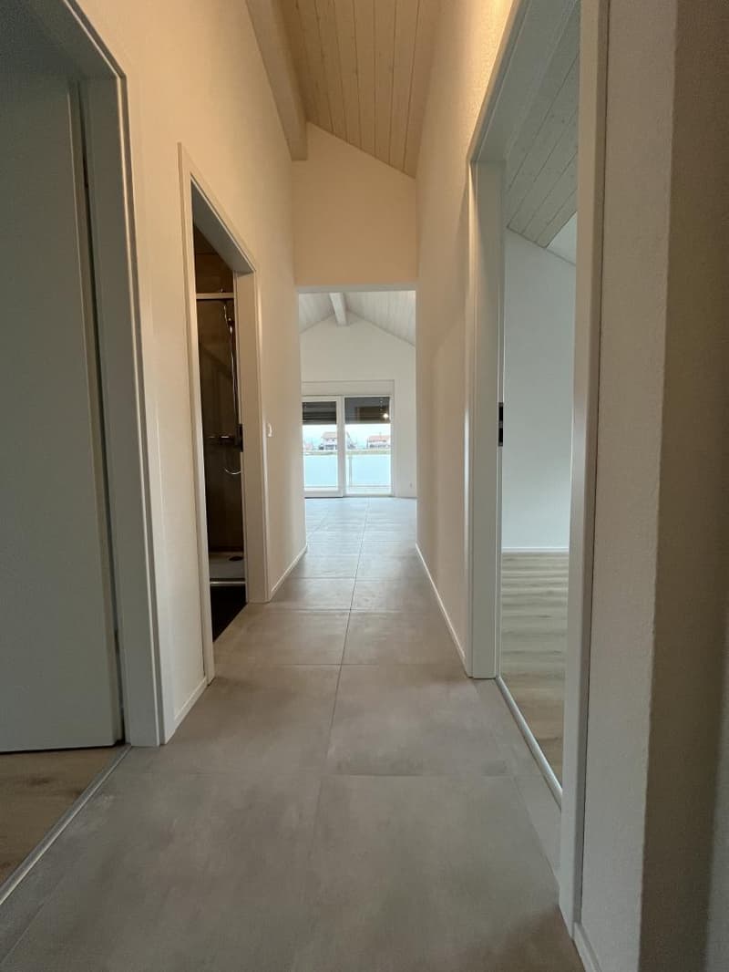 MAGNIFIQUE ATTIQUE, MODERNE ET NEUF (10)