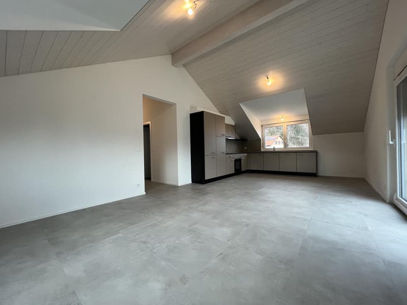 MAGNIFIQUE ATTIQUE, MODERNE ET NEUF (2)