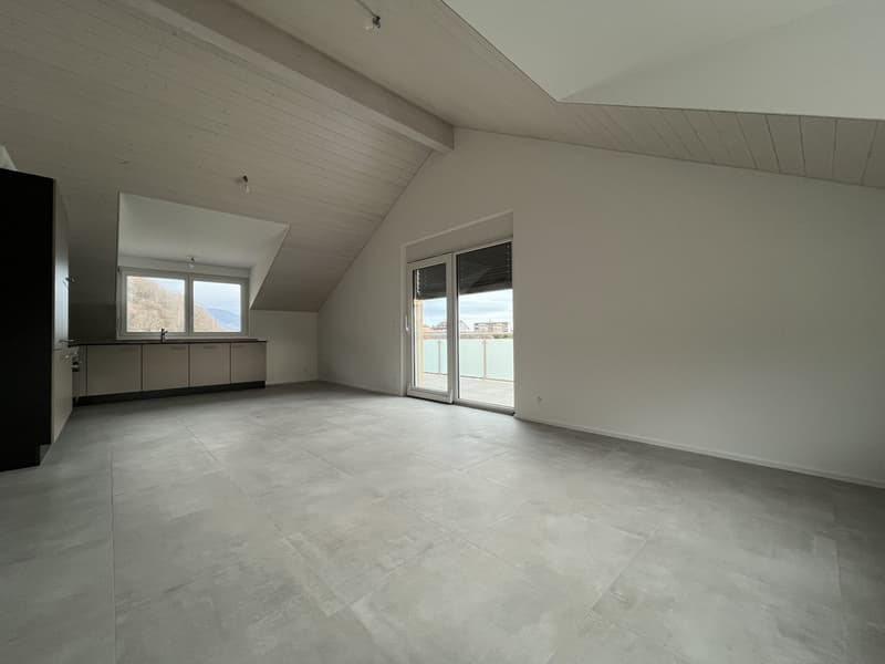 MAGNIFIQUE ATTIQUE, MODERNE ET NEUF (3)