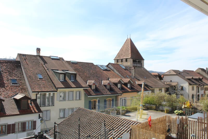 AVEC UNE GRANDE TERRASSE, TRES BIEN SITUE (10)