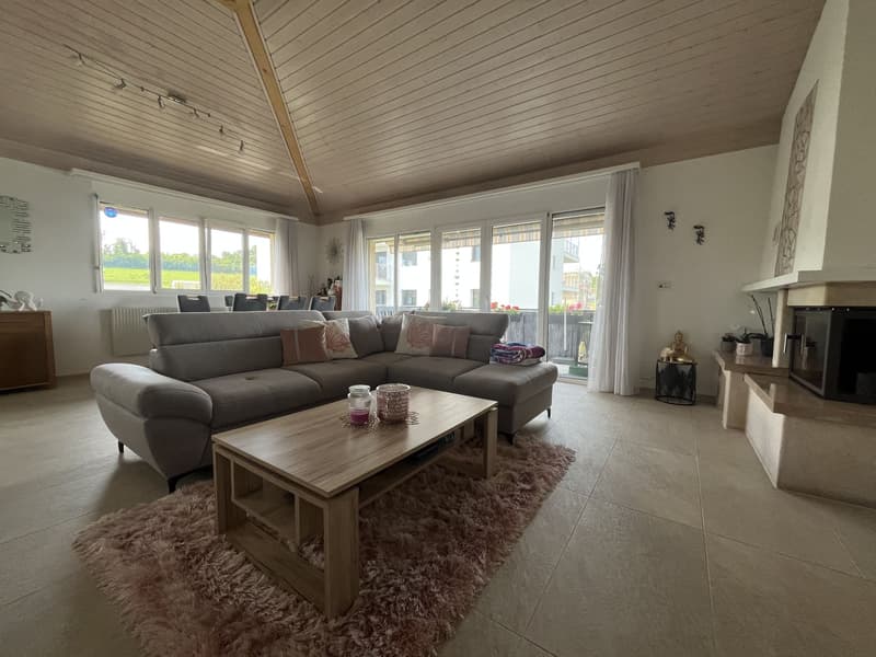 MAGNIFIQUE ATTIQUE, TRES SPACIEUX ET MODERNE (6)