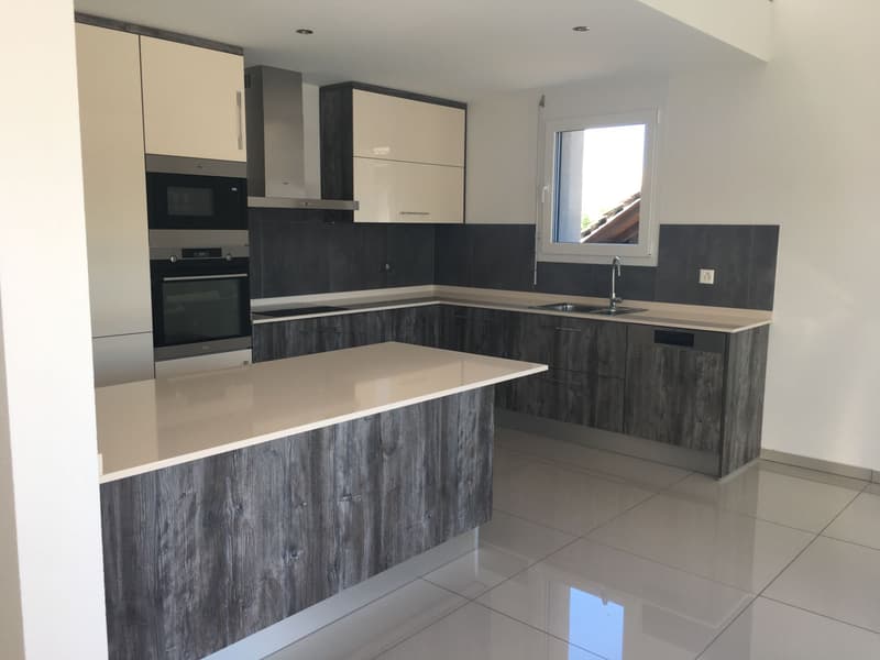 MAGNIFIQUE DUPLEX EN ATTIQUE (6)