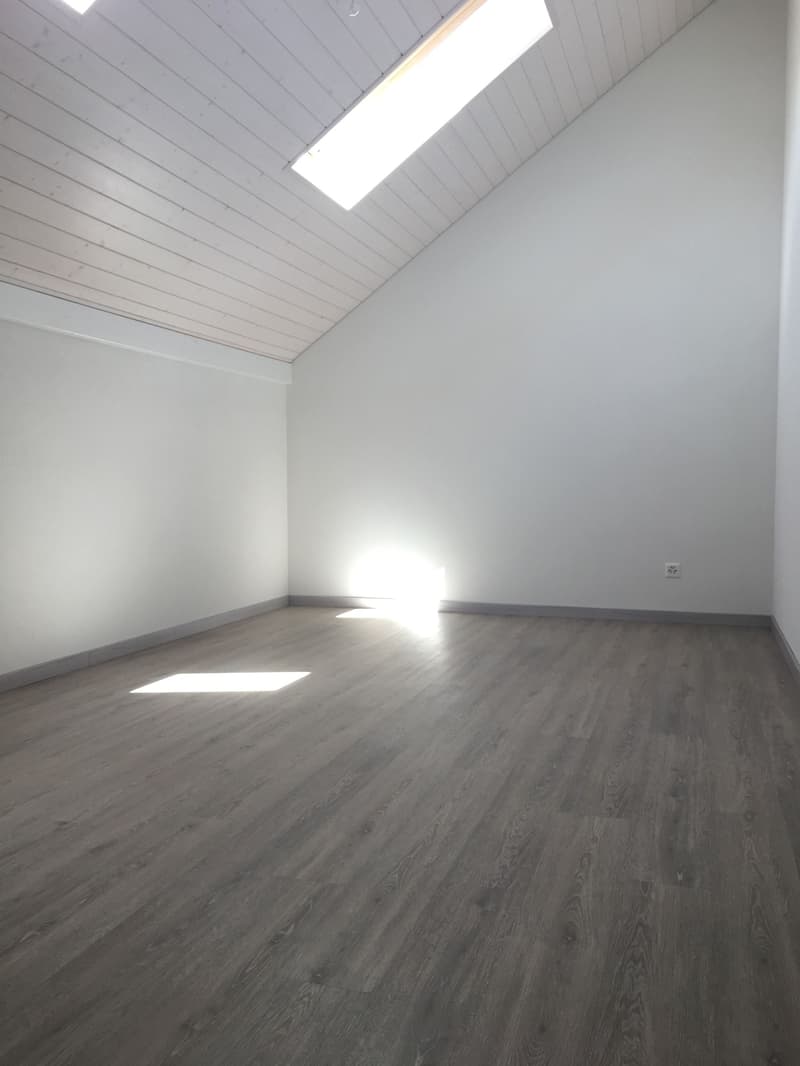 MAGNIFIQUE DUPLEX EN ATTIQUE (11)