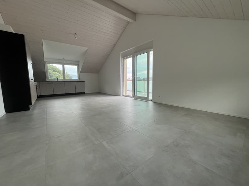 MAGNIFIQUE ATTIQUE, MODERNE ET NEUF (3)