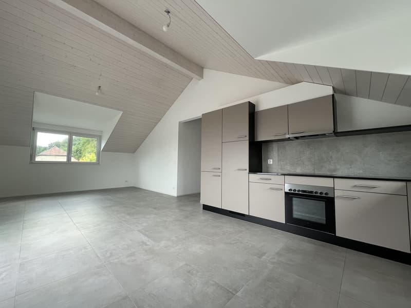 MAGNIFIQUE ATTIQUE, MODERNE ET NEUF (6)