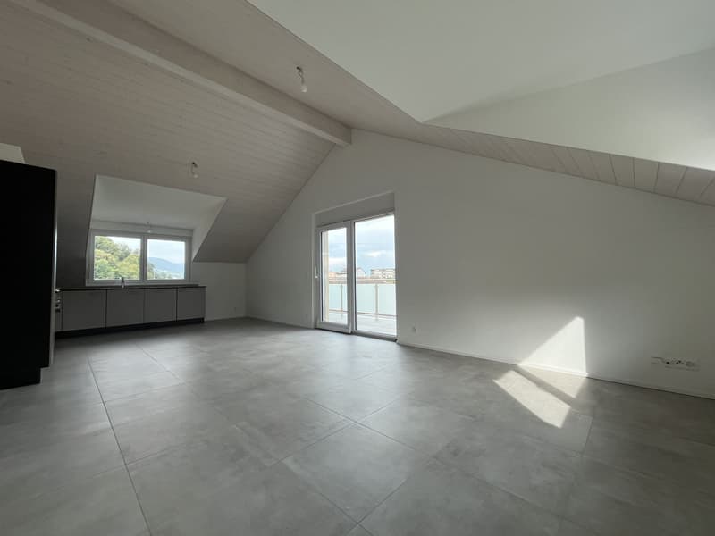 MAGNIFIQUE ATTIQUE, MODERNE ET NEUF (1)