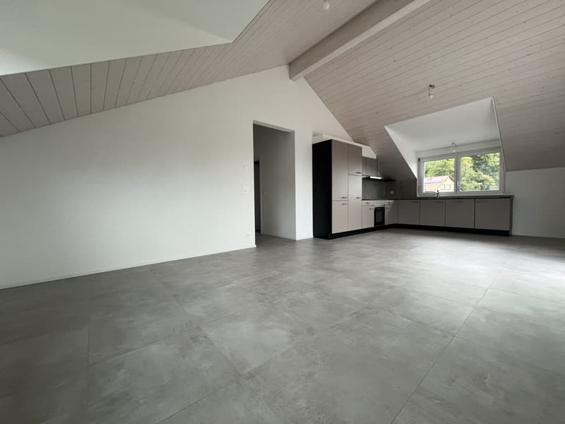 MAGNIFIQUE ATTIQUE, MODERNE ET NEUF (4)