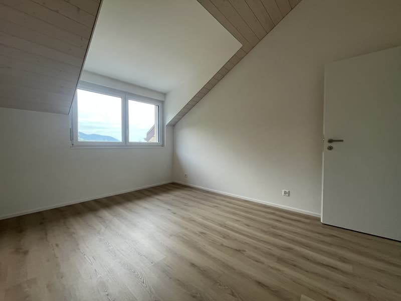 MAGNIFIQUE ATTIQUE, MODERNE ET NEUF (11)